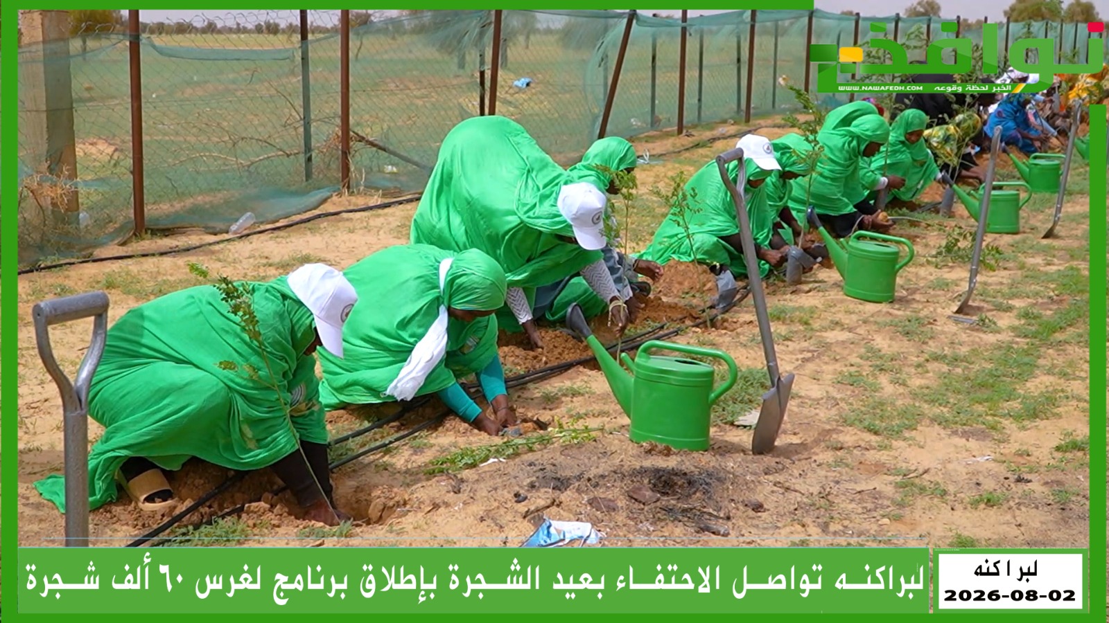 لبراكنه تواصل الاحتفاء بعيد الشجرة بإطلاق برنامج لغرس 60 ألف شجرة بالولاية/ فيديو