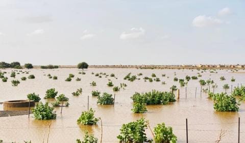 أمطار على قرى وتجمعات سكانية في خمس ولايات بينها لبراكنه/ مقاييس
